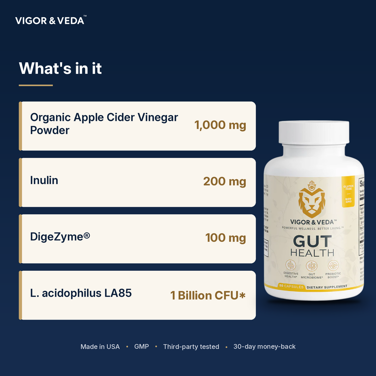 Vigor & Veda Gut Health what's inside